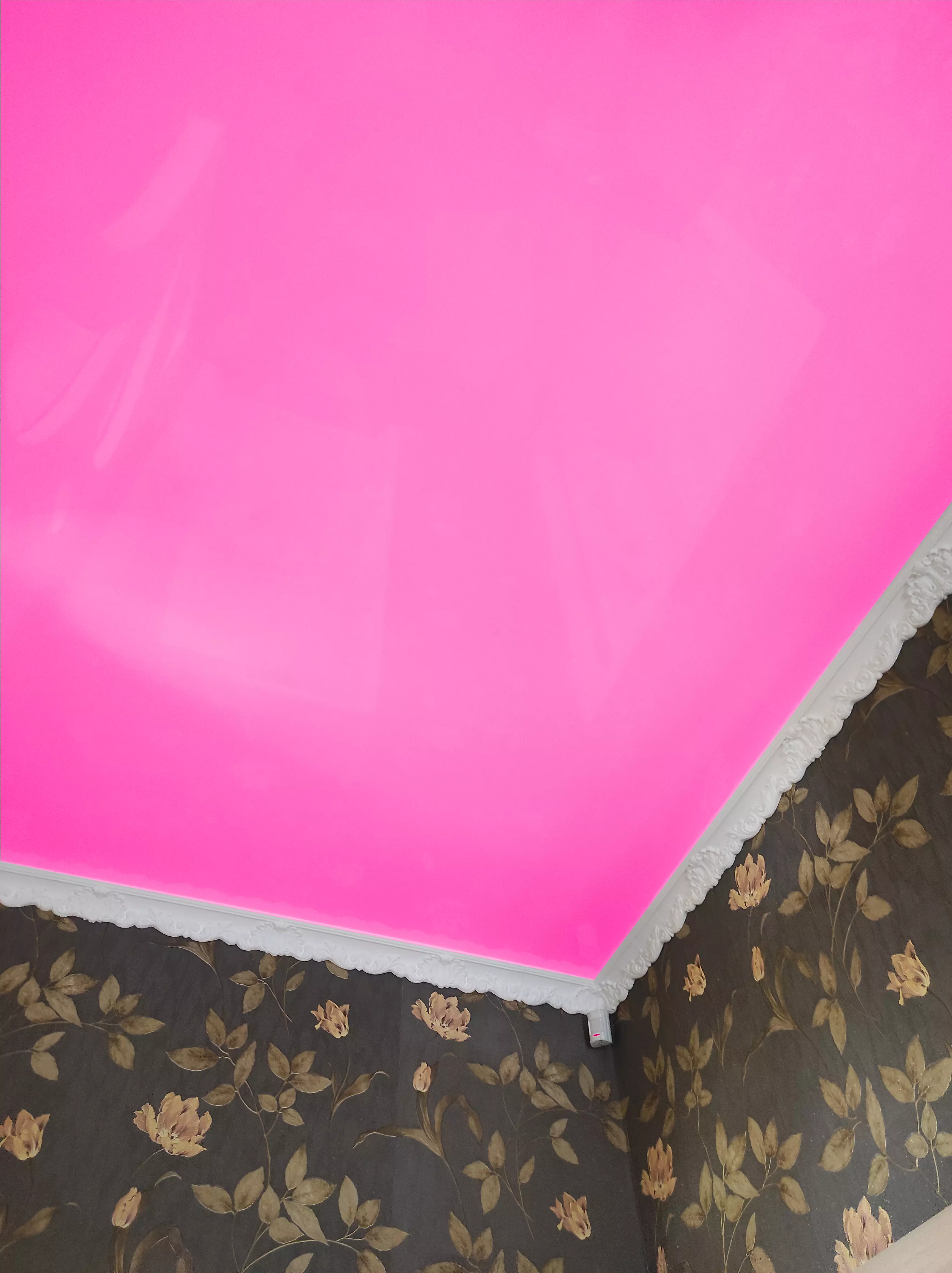 Владимир, Мира, 27, фото 2