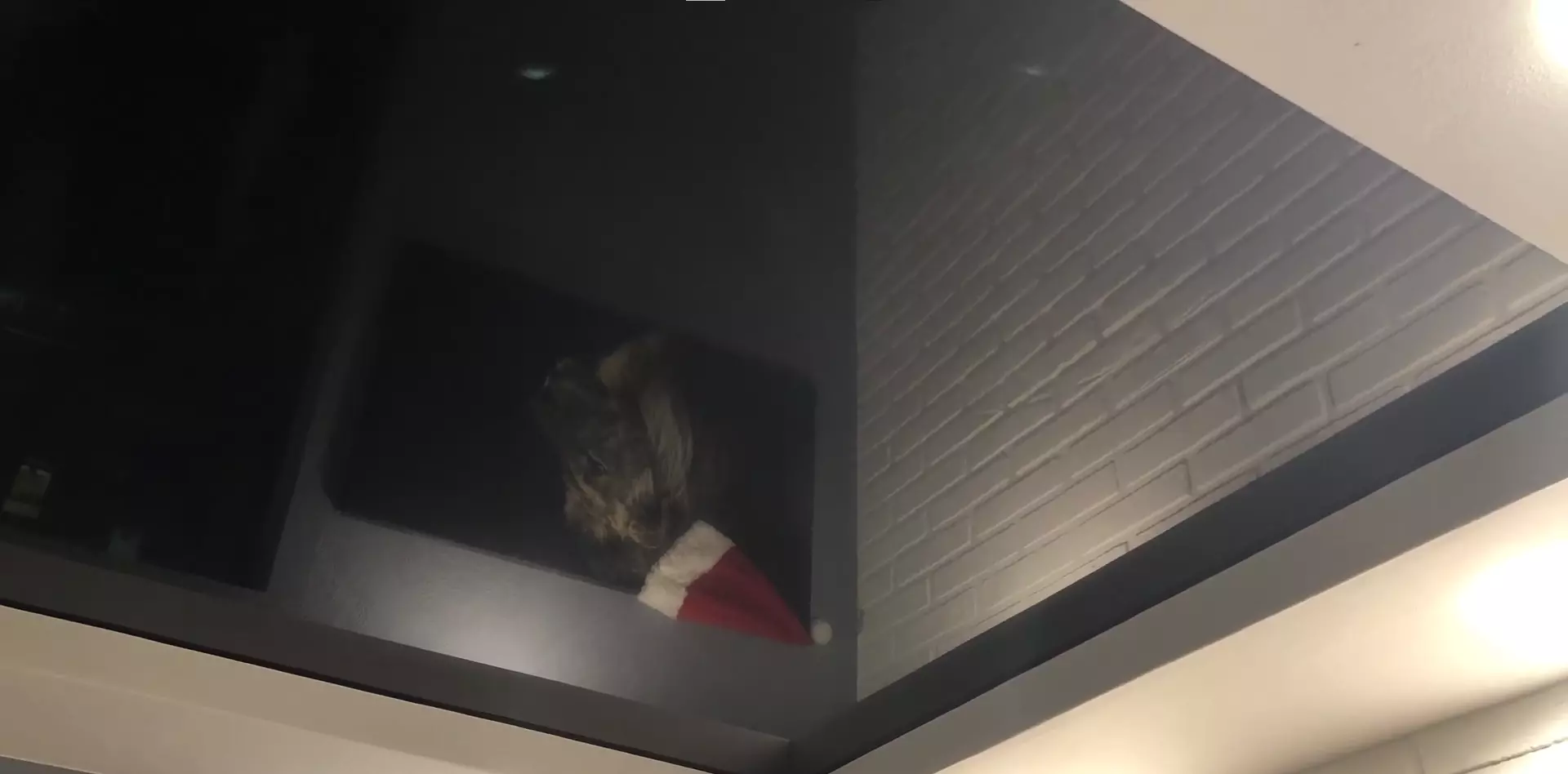 Ижевск, 9 Января, 215, фото 3