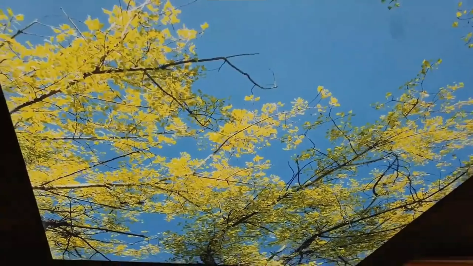 Калуга, Пухова, 50/27, фото 2